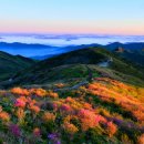 노고단-12 이미지