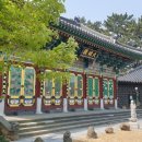 제주불교성지 순례길 절로 가는길 - 지계의 길 이미지