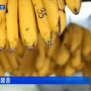 일파만파농장 이미지