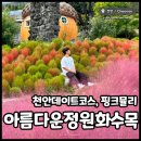 천안 아름다운정원 화수목 핑크뮬리 댑싸리 산책, 데이트코스