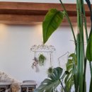 더코지(The Cozy) 이미지