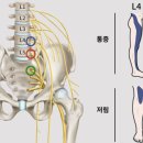 참온한의원 이미지