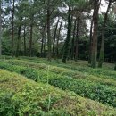 설아농장 이미지