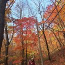 23년 가을 점봉산 곰배령 이미지