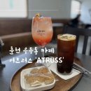Atruss 이미지