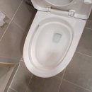 골든캐슬아파트 | 동작구 변기교체 후기｜동작구 사당동 사당롯데캐슬골든포레 아파트 대림바스 CC-735 투피스 변기 설치...