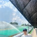 고기품은쌈 | (여름휴가) 강화도에서 유명한 "고기품은쌈밥"후기,시원한 물놀이를 재미볼수 있는 "김포물썰매장" 후기...