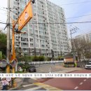 브라운빌 이미지