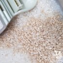 지리산노을 | 백년농가 유기농 지리산 상황버섯쌀 내돈내산 후기