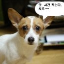 삼성동-12 이미지