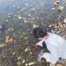 압록유원지 이미지