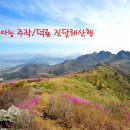 청솔밭주 Daum카페