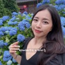 국제K뷰티협회/K뷰티뉴스 | 쎄라쥬 뷰티디바이스 내돈내산 해외 셀럽이 쓰는 명품디바이스 공구 (할인코드)