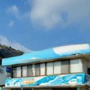 (협)하나고속 여행사 | [대마도 데이트] 부산에서 대마도 배편 처음 이용할 때 도움되는 노바호 운항 스케줄 면세 탑승후기 총정리