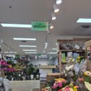 숲스토리 시장점 | 서초 양재 꽃시장 꽃다발 플라워스토리 꽃바구니 리뷰