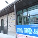 대추나무약국 Daum카페