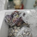 세븐일레븐 보성벌교터미널점 | 벌교에서 김포까지 온 마음 한 상