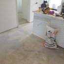 중부대로448번길 이미지