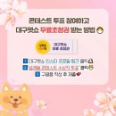 설레;봄