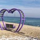 강릉아기동물농장 이미지