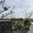 플랜티풀랜드 이미지