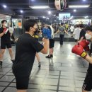 팀베어스복싱짐 이미지