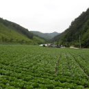 봉화1길 이미지