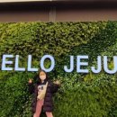 제주민박프리타타 이미지