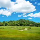 호반서서울 주식회사 이미지