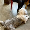 한기대오락실 이미지