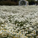 오늘여기 이미지