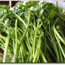 한영농장 이미지