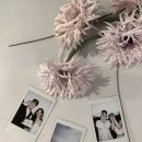 W12. 아 기다리고 오 기다리고 라 기다리던 아오라스튜디오(Ahora) 촬영 후기 | 부산 웨딩스냅
