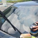 출장 세차 이미지