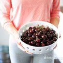 (주)체리판매 동아일보