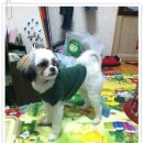 신이환경 이미지