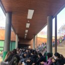 솔빛길유치원 이미지