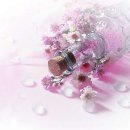 호박넝쿨 이미지