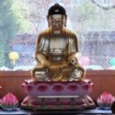 양산 통도사 창녕포교당 산신도 | 양산 통도사 창녕포교당 목조석가여래좌상