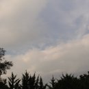 운승