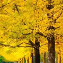 어느멋진날에2 이미지