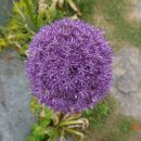 이현동2 이미지