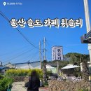 똥꼬발랄 | 울산 슬도 카페 휘슬리 후기 | 마당 꽃 뷰 감성 카페 (유채꽃 코스 필수)