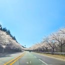 스테이여울 - 강릉시 봉양2길 24-5 | 스테이여울