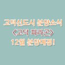 이지랜드공인중개사사무소 이미지