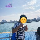 산호환경 | 태국 방콕 파타야 자유여행 산호섬 투어 비용 및 액티비티 후기