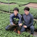 태일농장 이미지