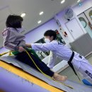 용인대 지노태권도 이미지