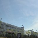캣파라다이스 | 인스파이어 리조트, 포레스트 디럭스 더블룸 숙박 후기