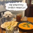 경기의왕 청계동피자맛집 산타벨루가 애견동반 후기